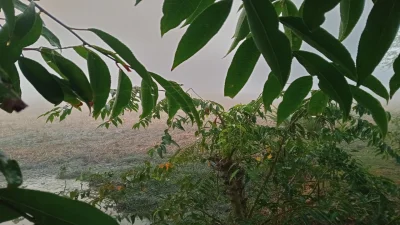 ছবি: খবর সংযোগ