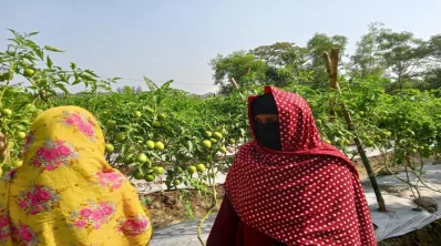 IMG20240116134428_01