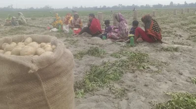 আলু তোলার মাঝে মাঠে বসেই দুপুরের খাবার খাচ্ছেন শ্রমিকরা। ছবি: খবর সংযোগ