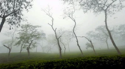 ছবি: খবর সংযোগ