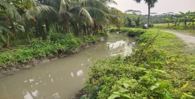 ছবি: খবর সংযোগ