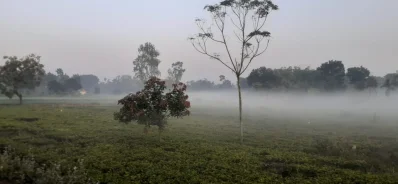 ছবি: খবর সংযোগ