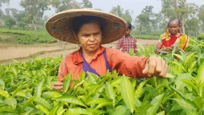 ছবি: খবর সংযোগ