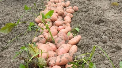 ছবি: খবর সংযোগ