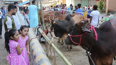 পশুর হাটে গেলে শিশুদের মাস্ক পরে যাওয়া উচিত। ছবি: সংগৃহীত