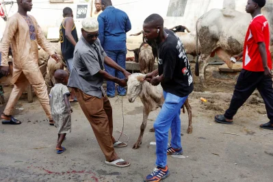 আইভরি কোস্টে ঈদ জামাদের পর সড়কে পশু কোরবানির আয়োজন চলছে