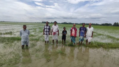 দিশাহারা হয়ে ধান ক্ষেতে দাঁড়িয়ে আছে কৃষকরা। ছবি: খবর সংযোগ