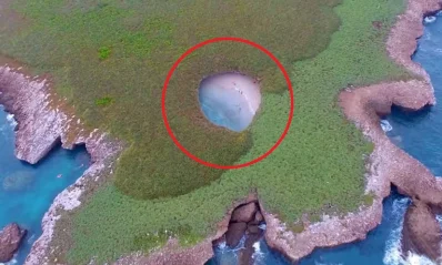 ছবি: অনলাইন থেকে সংগৃহীত