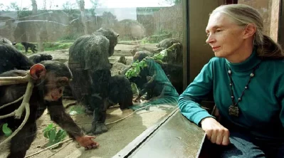 বিশ্বখ্যাত প্রাণী বিজ্ঞানী এবং পরিবেশবাদী ড. জেন গুডঅল