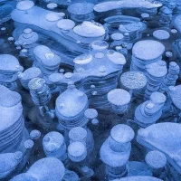 ফ্রোজেন বাবলস