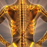 মানবদেহ