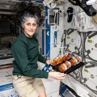 সুনীতা উইলিয়ামস