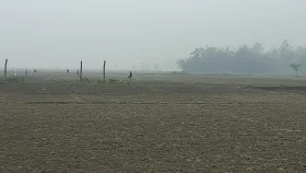 শীতে কাঁপছে পঞ্চগড়, ৮ ডিগ্রির ঘরে তাপমাত্রা