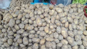 হিলি স্থলবন্দর দিয়ে ভারত থেকে আলু আমদানি বন্ধ