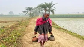 খেজুর গাছ কেটেই চলে সলিমের সংসার