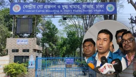 সাদিক অ্যাগ্রোর ফার্মে মিলল ১৩টি নিষিদ্ধ গরু