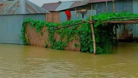 বন্যায় এক জেলাতেই প্লাবিত ৬ হাজার হেক্টর কৃষি জমি