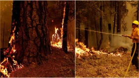 যুক্তরাষ্ট্রের অনেক অঙ্গরাজ্যে ছড়িয়ে পড়ছে দাবানল