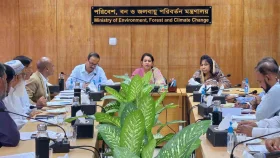 অবৈধ ইটভাটা বন্ধ করা হবে: রিজওয়ানা হাসান