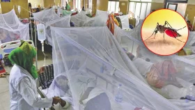 ডেঙ্গুতে আরও ৩ জনের মৃত্যু, হাসপাতালে ভর্তি ৩৬৩