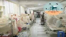 ২৪ ঘণ্টায় ডেঙ্গু আক্রান্ত হয়ে হাসপাতালে ভর্তি ৩৮২
