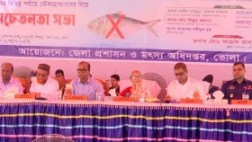 ইলিশের বাড়ি চাঁদপুর নয়, ভোলা: মৎস্য উপদেষ্টা