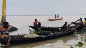  অভয়াশ্রমে ইলিশ শিকারে বেপরোয়া জেলেরা