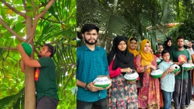 পাখি রক্ষায় টাঙ্গাইলে গাছে গাছে মাটির হাঁড়ি