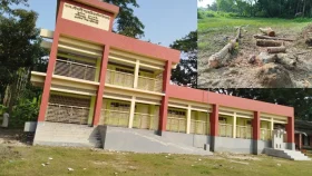 প্রদীপ কুমারের বিরুদ্ধে বিদ্যালয়ের গাছ  কাটার অভিযোগ