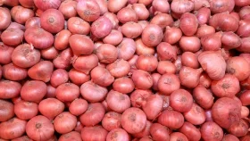 আমদানির খবরে পেঁয়াজের দরপতন