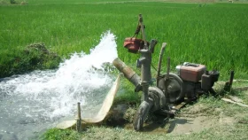 জলবায়ু পরিবর্তনে পাল্টে যেতে পারে কৃষি ক্যালেন্ডার