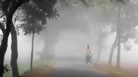 ঘন কুয়াশায় স্থবির জনজীবন, দেখা নেই সূর্যের