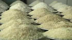 হিলি বন্দরে একদিনে রেকর্ড চাল আমদানি