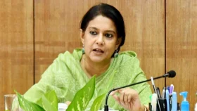 নতুন দলের কিংস পার্টি হওয়ার সম্ভাবনা নেই: রিজওয়ানা