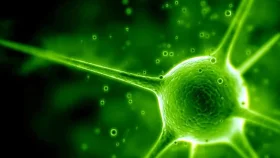 নতুন ভাইরাস ‘ডিঙ্গা ডিঙ্গা’: লক্ষণ ও প্রতিকার