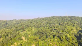 টেকনাফে ১৭ বনকর্মীকে অপহরণ