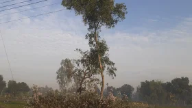 পঞ্চগড়ে তাপমাত্রার পারদ নামল ১০ ডিগ্রির নিচে