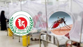 একদিনে ডেঙ্গু আক্রান্ত হয়ে হাসপাতালে ভর্তি ২০৪