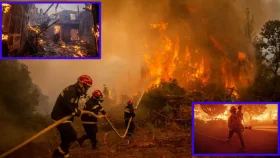 ভয়াবহ দাবানলে পুড়েছে ৫ হাজার কোটি ডলারের সম্পদ