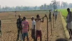 বিএসএফের বেড়া স্থাপনে বিজিবির বাধা