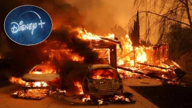দাবানলে ক্ষতিগ্রস্তদের জন্য অনুদানের ঘোষণা ডিজনির