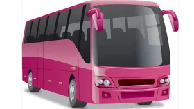 ঢাকার রাস্তায় নামছে গোলাপি রঙের বাস