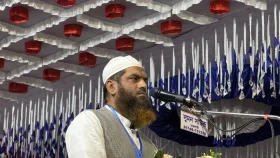 তসলিমা নাসরিন ও শেখ হাসিনার গোড়াপত্তন একই জায়গায়: মামুনুল হক