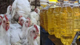 ফাল্গুনেও গরম মাংস-তেলের বাজার