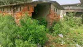 লালপুরে কৃষি অধিদপ্তরের পরিত্যক্ত ভবনসহ জমি দখলের চেষ্টা