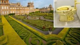 পাঁচ মিনিটে স্বর্ণের কমোড চুরি