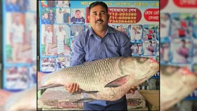 এক কাতলের দাম ৭০ হাজার