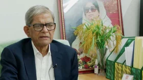 দেশে ফিরলেন মির্জা ফখরুল