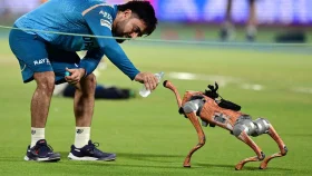 রোবট কুকুরের জন্য মামলা খেলো ভারতীয় ক্রিকেট বোর্ড