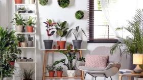 গরমে এসি ছাড়া ঘর ঠান্ডা রাখার উপায়